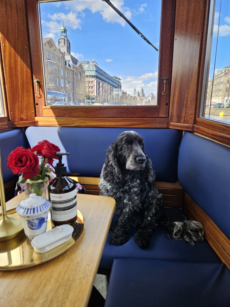 furry friend on a private canal cruise amsterdam